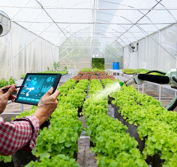 Innovative Agritech Solutions with Precision, Profitability & Progress